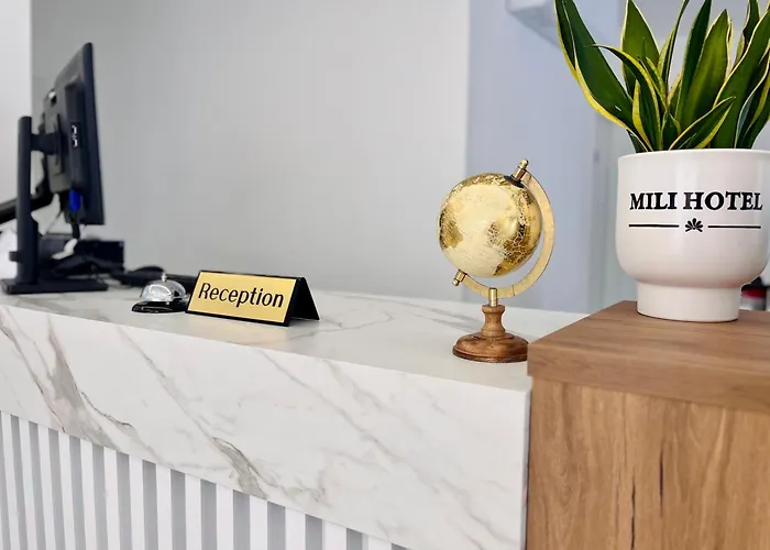 Hotel Mili *