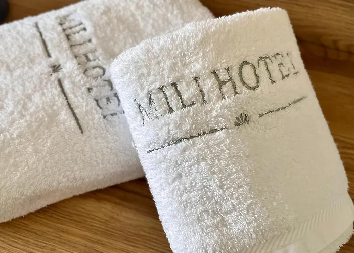 Mili Hotel *